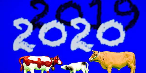 Les événements qui ont marqué l'année agricole 2019